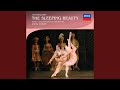 Miniature de la vidéo de la chanson The Sleeping Beauty Suite, Op. 66: Introduction