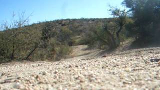 DSCF0012.AVI
