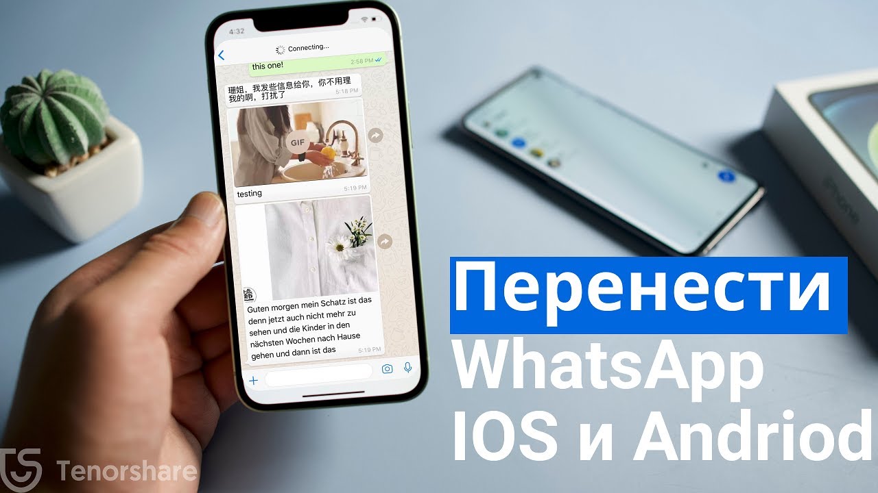 Как перенести Ватсап на новый телефон. Как перенести WhatsApp с телефона на телефон. Фото.