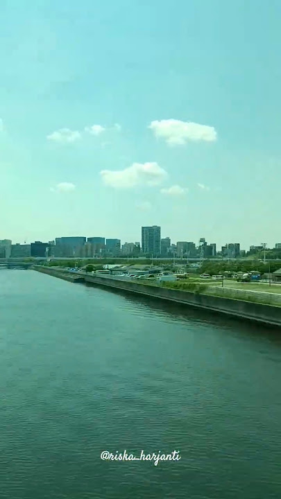 Tokyo from inside the train #shorts #tokyo #japan