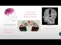 Stress Management Training : Understand Your Control of it!