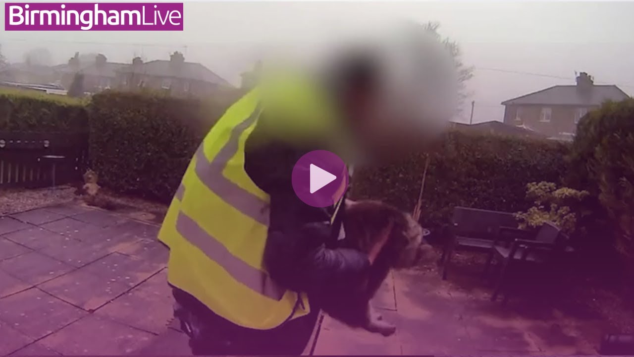 Amazon delivery driver 'steals cat from doorstep' in shocking doorbell footage