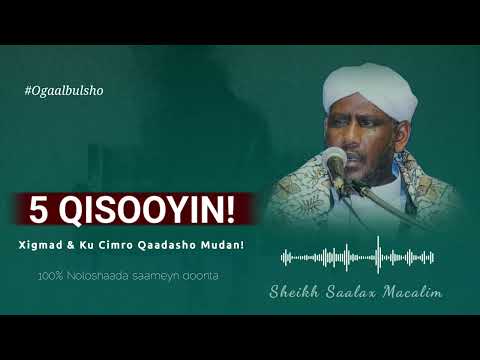TOP 5 QISOOYIN Saameyn Leh Xigmad Iyo Ku Cimro Qaadasho Mudan Sh Saalax Macalin OGAALBULSHO