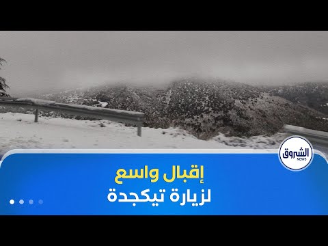 إقبال كبير للمواطنين من مختلف الولايات للاستمتاع بجمال مرتفعات تيكجدة في البويرة