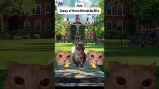 POV: Group of three friends be like#catmeme #relatable