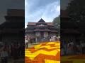 അത്തപൂക്കളം😍🔥 #onam #onamspecial #pookkalam #vadakkumnadhan #trending #minivlog #kerala