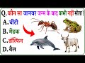 GK Question || GK In Hindi || GK Question and Answer || GK Quiz || Quiz Spy