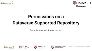 Using Permissions in Dataverse