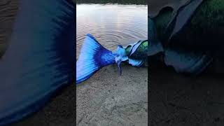 Satisfying Mermaid ASMR at the Lake