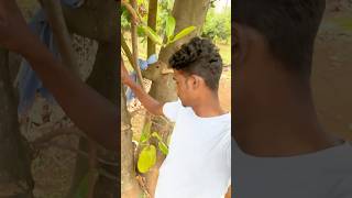 வித்தியாசமான முறையில பலா காய் காய்ச்சு இருக்கு 🥰🤗