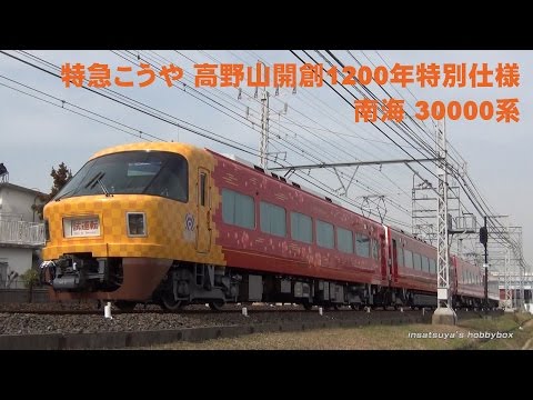 南海こうや 30000系 hqdefault.jpg