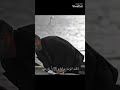 حالات واتساب ميماتي باش ذقت الموت ياوردتي حالات واتساب ميماتي باش ذقت الموت ياوردتي