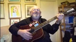 12-String Guitar Turkey In The Straw