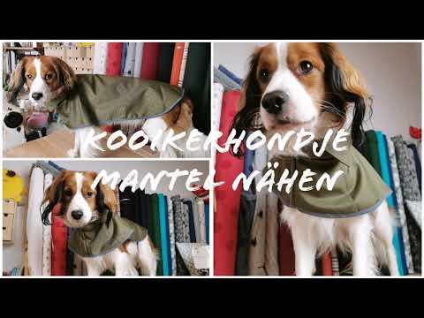 hundefutter kalorienarm Premium Hundefutter Kalb & Rind 3x5kg Getreidefrei