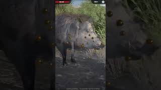 The Hunter - Portrait 4 (30Sec)