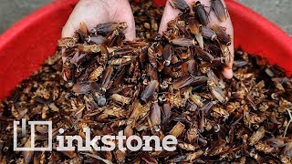 Inside China’s five-star ‘roach hotel’