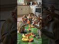#shorts #wildlife #trending #viral #reels