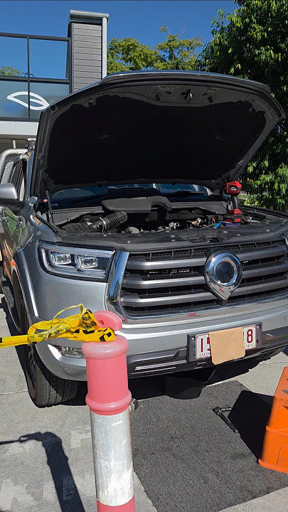 GWM CANNON SERVICES X 3 #gwmcannon #gwm #greatwallmotors