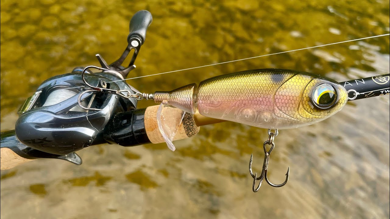 The CRAZIEST DAY OF GIANT BASS TOPWATER FISHING! (UNREAL)