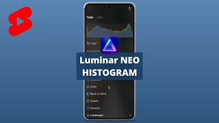 Where is the HISTOGRAM in Luminar NEO?!