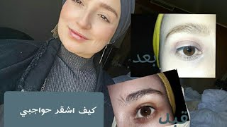 تشقير حواجب أميرة ريا في المنزل | bleaching my eyebrows at home