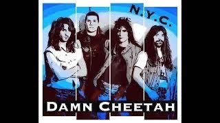 Some Kinda Woman  Damn Cheetah w Les Brown Of Nrg    hardrock    rock transformers