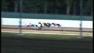 BAL WED 21 DEC 16 R11