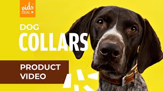 Dog collars | Vidsdeal product video screenshot 5