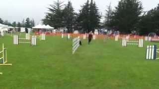 Scoop st finals SMART 4.29.2012.MOV