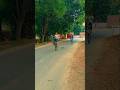 cycle stunt #reels #shortvideo #stunt