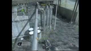 CoD4: Slow Motion Virus Profile