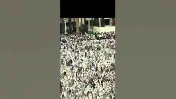 أقل من دقيقة تلاوة يطمئن لها القلب للشيخ: عبدالله البعيجان ، ﴿ذلك تقدير العزيز العليم﴾