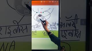 DNA vs RNA 🧬 | DNA और RNA में क्या अंतर है? | Biology Facts #short