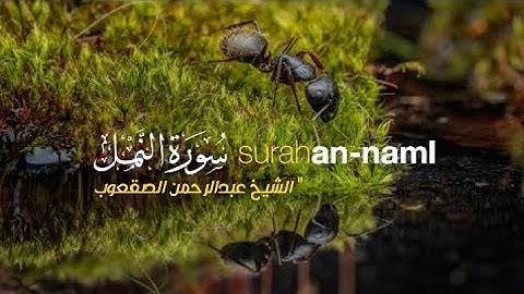 آيات من سورة النمل بتلاوة خاشعة ومؤثرة تحث على التأمل والتفكر بصوت جميل جدا الشيخ عبد الرحمن الصقعوب