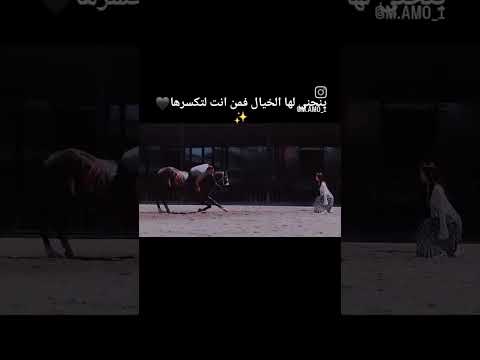 فمن انت لتكسرها اشتراك ستوريات مقاطع ستوريات حب حب مشاهير لايك اشتراك دويتو