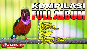 KOMPILASI MASTERAN KONIN JUARA FULL ISIAN JERNIH FULL ALBUM - COCOK UNTUK MASTERAN KOLIBRI NINJA !!