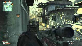 ArtsyMuch |Collateral Damage X2