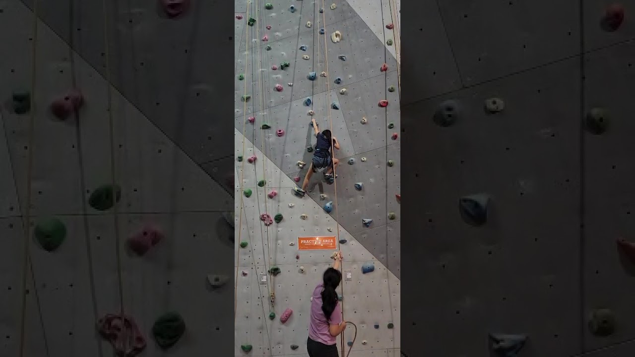 Wall climbing is the best activity. I got to the top!