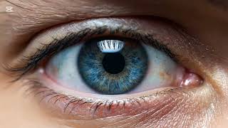 مقدمه افتتاحية....الشيفرة المفقودة لصحتك لماذا أنت متعب دائما تريلر Vita Code