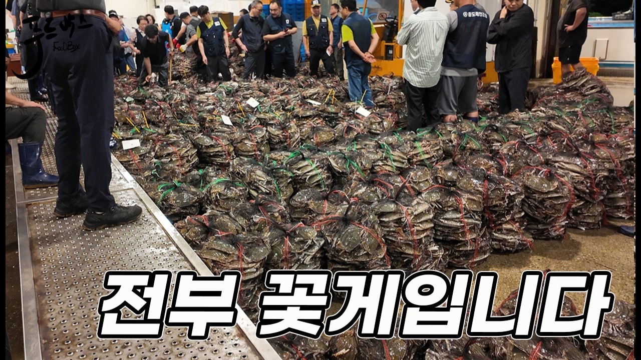 꽃게 금어기 끝 시즌 첫 경매에 4.5톤 ~ 2kg를 얼마에 샀을까요?