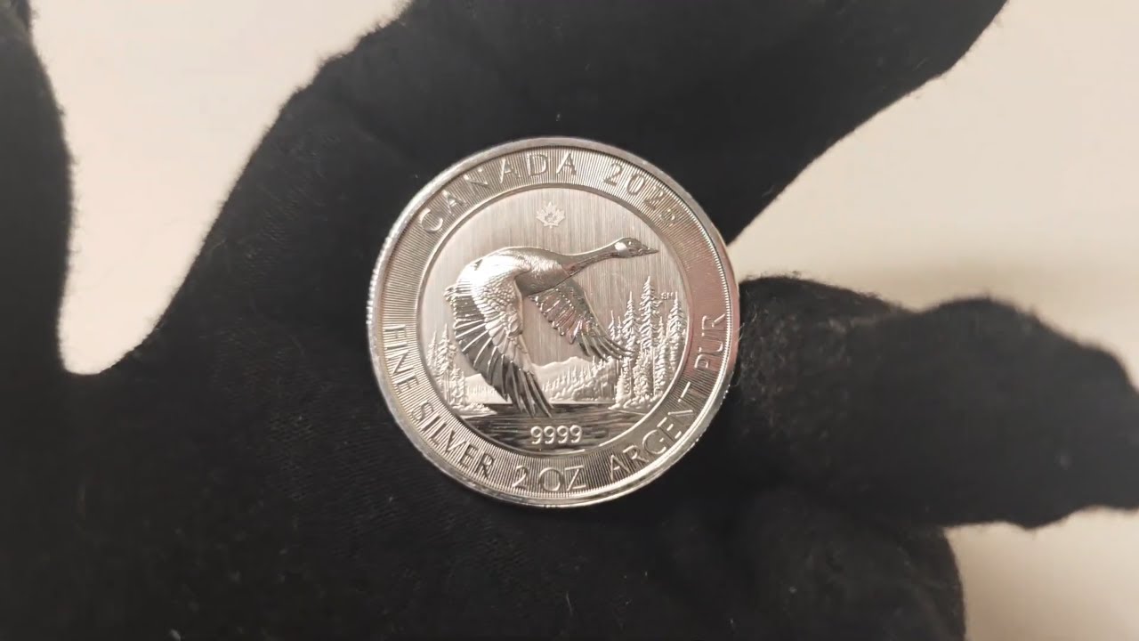 SPECIAL: 2025 Canadian Goose 2oz Silver Coin - PerthBullion.com.au