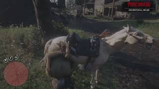 Peio Com Malloy Até Annesburg
