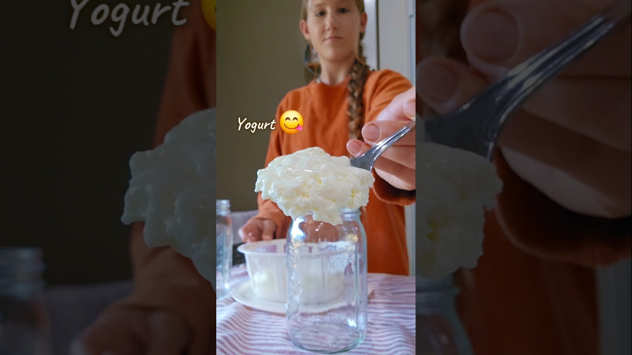 Raw Greek yogurt from our Dairy Cows! 🐄 on our farmstead ❤️ 