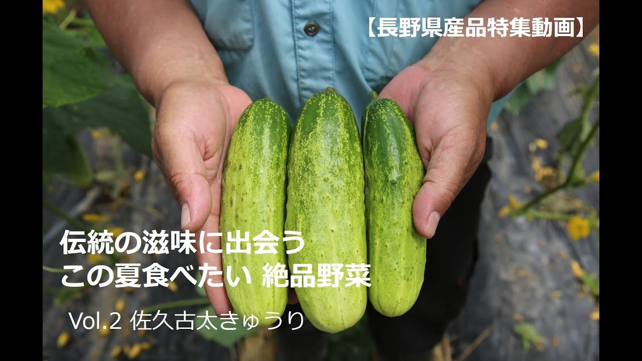 長野県産品特集動画】伝統の滋味に出会う この夏食べたい絶品野菜（vol