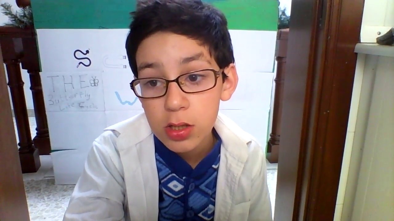 The Butterfly Life Cycle YouTube