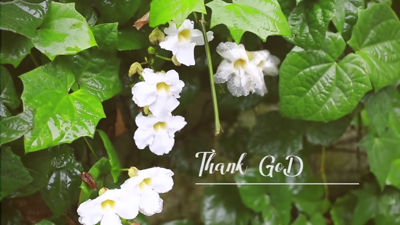 Meminthey Telugu album