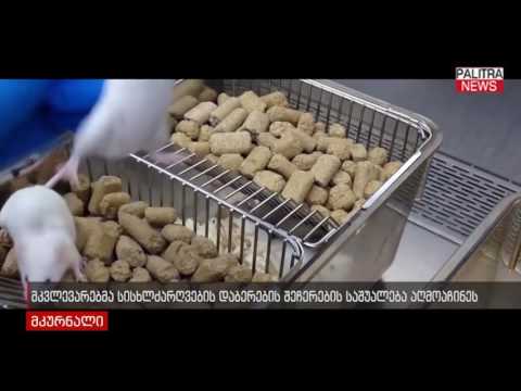 მკვლევარებმა სისხლძარღვების დაბერების შეჩერების საშუალება აღმოაჩინეს