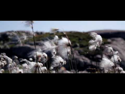 Myrull Alex Otterlei 