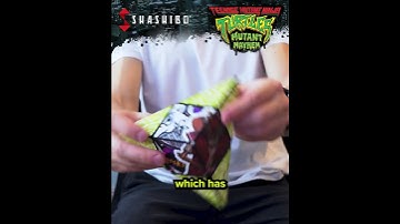 Gear Up for an Adventure with the Teenage Mutant Ninja Turtles Shashibo