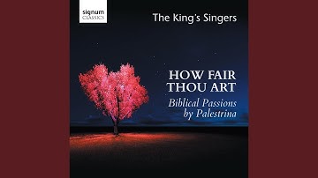 Descendi in hortum meum